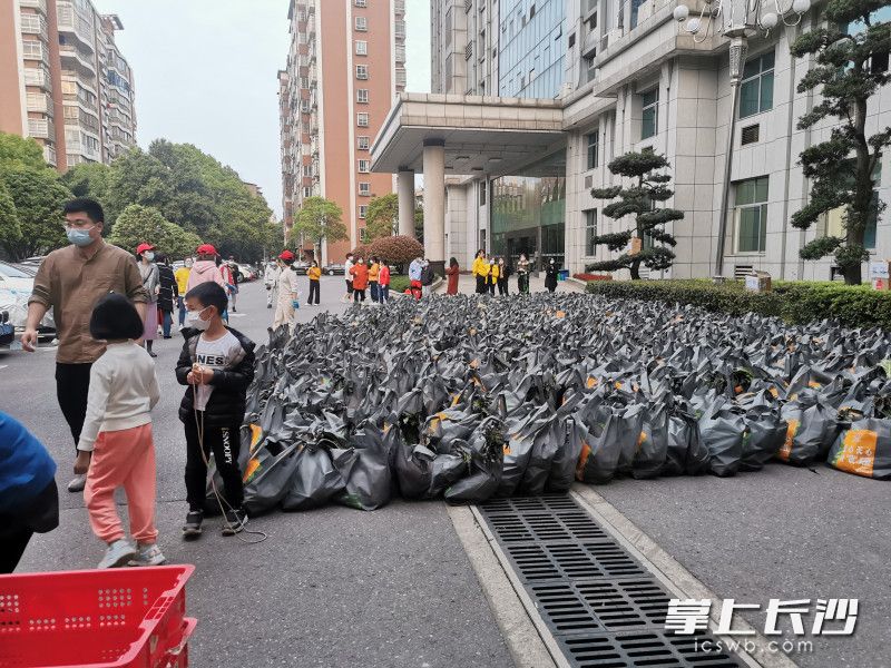 780份蔬菜包送到了湘林小區院內。長(cháng)沙晚報實(shí)習生 羅楊 攝